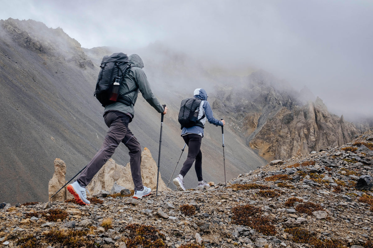 Quechua BACKPACK MH100 35L